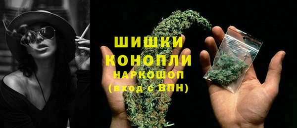 винт Алзамай