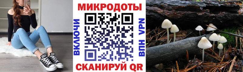 купить наркотики сайты  Талдом  Галлюциногенные грибы Magic Shrooms 